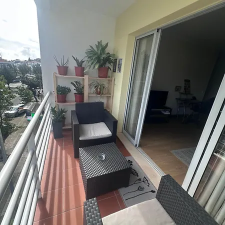 Heart Of Madeira Appartement